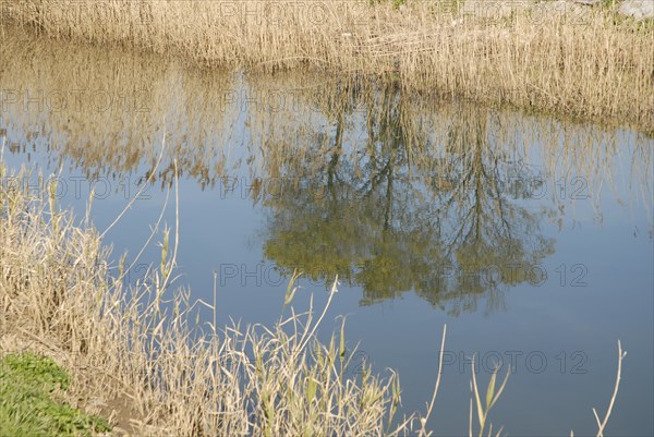 2009, Hyères, 83400, paysage, reflets dans l'eau, vegetaux, canal