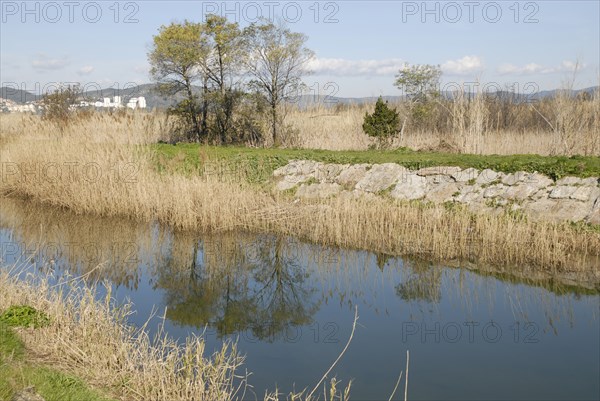 2009, Hyères, 83400, paysage, reflets dans l'eau, vegetaux, canal
