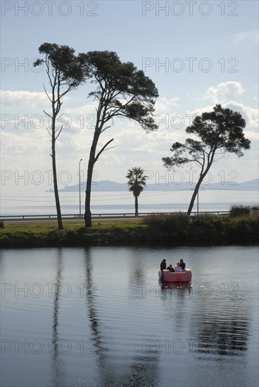 2009, Hyères, 83400, arbres, pédalo, palmiers, pin maritime, plan d'eau, reflets dans l'eau, bord de mer