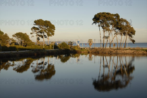 2009, Hyères, 83400, palmiers, pin maritime, plan d'eau, reflets dans l'eau, arbres