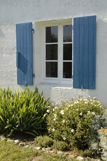 2009/ Belle-ile en Mer, fenêtre, maison, plantes