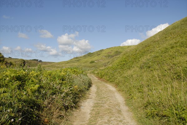 2009/ Belle-ile en Mer, paysage, chemin