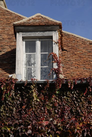 automne, Bourgogne, feuilles, Mur, octobre 2009, toit, Vezelay, vigne vierge