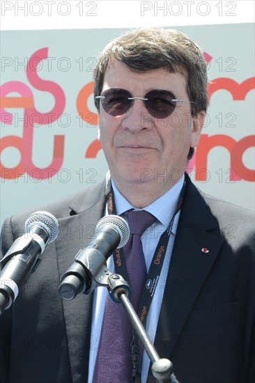 Xavier Darcos, Festival de Cannes 2013