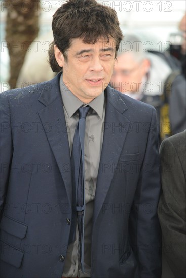 Benicio Del Toro, Festival de Cannes 2013