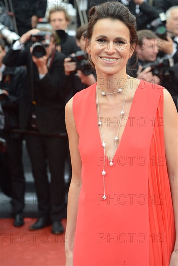Aurélie Filippetti, Festival de Cannes 2013