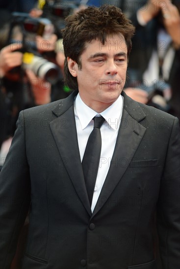 Benicio Del Toro, Festival de Cannes 2013