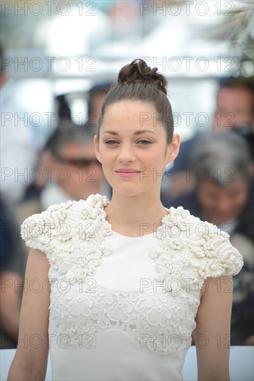 Marion Cotillard, Festival de Cannes 2013