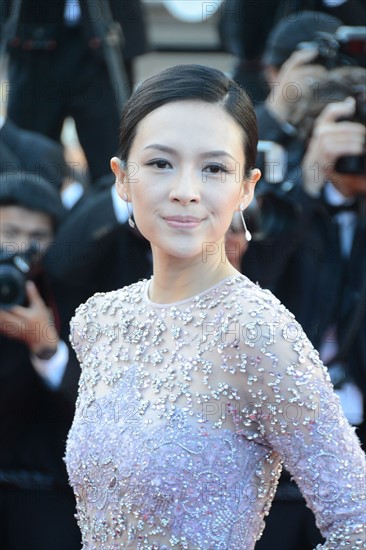 Zhang Ziyi, Festival de Cannes 2013