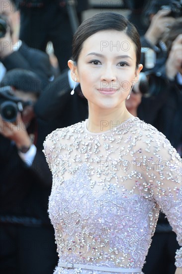 Zhang Ziyi, Festival de Cannes 2013