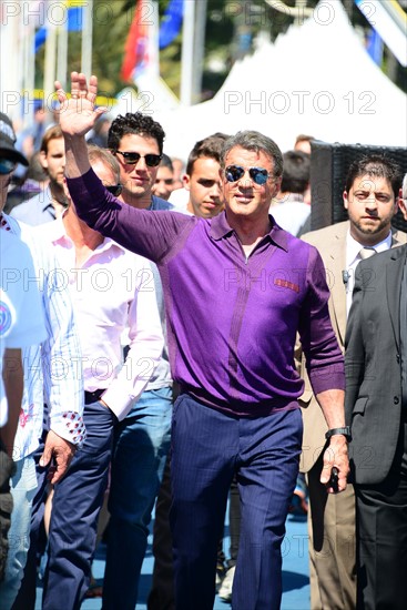 Sylvester Stallone, Festival de Cannes 2014