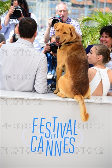 Equipe du film "Feher Isten", Festival de Cannes 2014