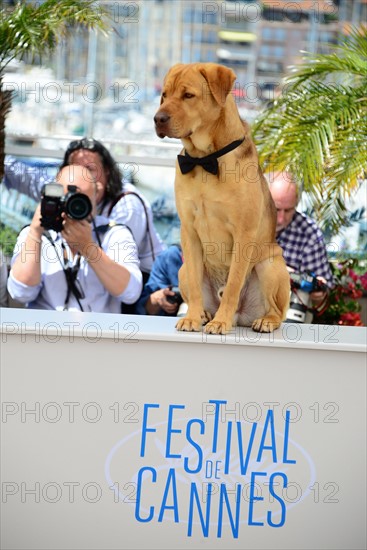 Equipe du film "Feher Isten", Festival de Cannes 2014