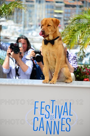 Equipe du film "Feher Isten", Festival de Cannes 2014