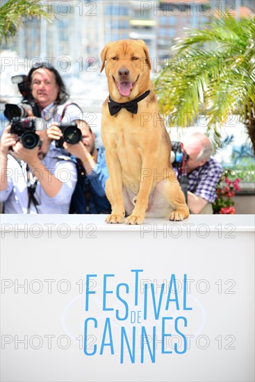 Equipe du film "Feher Isten", Festival de Cannes 2014