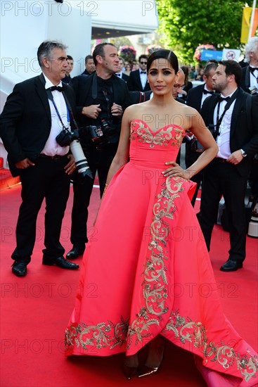 Freida Pinto, Festival de Cannes 2014