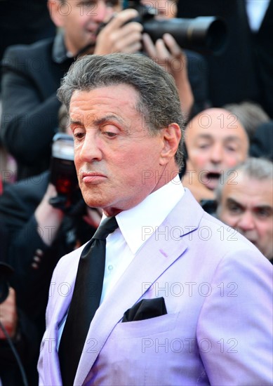 Sylvester Stallone, Festival de Cannes 2014