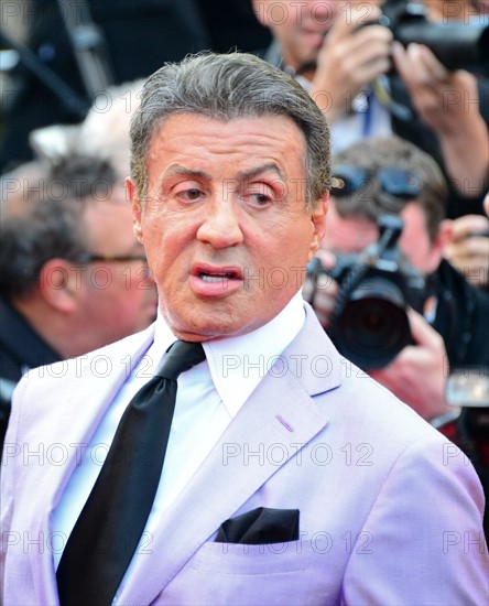 Sylvester Stallone, Festival de Cannes 2014