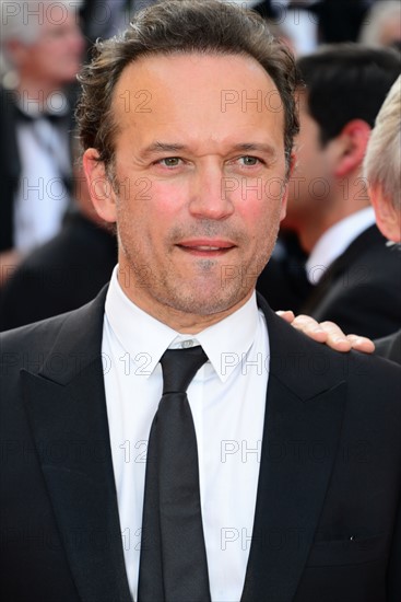 Vincent Perez, 2016 Cannes Film Festival
