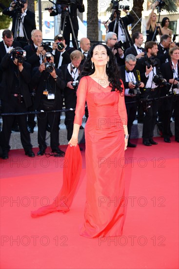 Sonia Braga, 2016 Cannes Film Festival