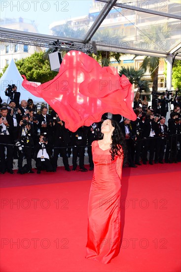 Sonia Braga, Festival de Cannes 2016