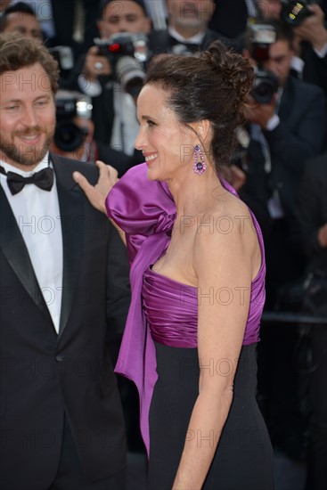 Andie MacDowell, 2017 Cannes Film Festival