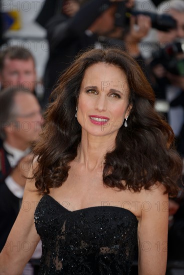 Andie MacDowell, Festival de Cannes 2017