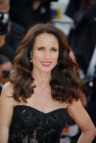 Andie MacDowell, Festival de Cannes 2017