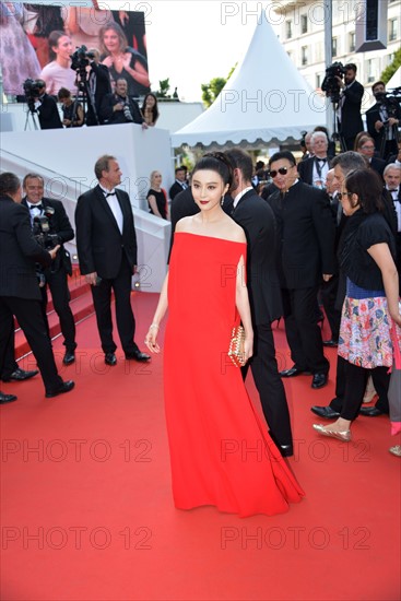 Fan Bingbing, 2017 Cannes Film Festival