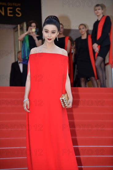 Fan Bingbing, Festival de Cannes 2017