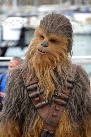 Chewbacca, 2018 Cannes Film Festival