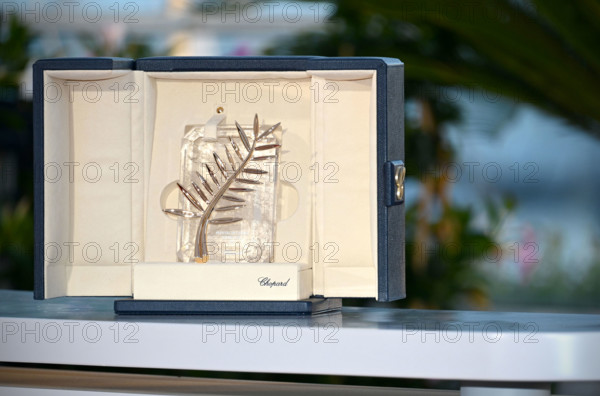 Coffret contenant la Palme d'Or