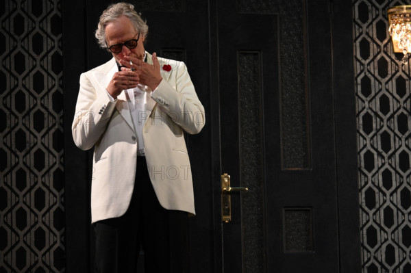 Festival d'Avignon IN 2025 : "Le canard sauvage"