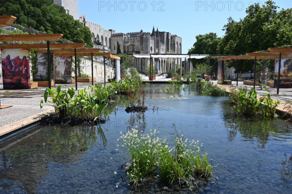Avignon, place du Petit Palais
