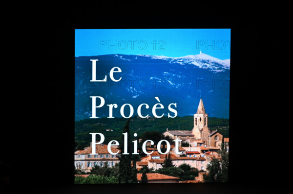 Festival d'Avignon IN 2025 : "Le procès Pélicot"