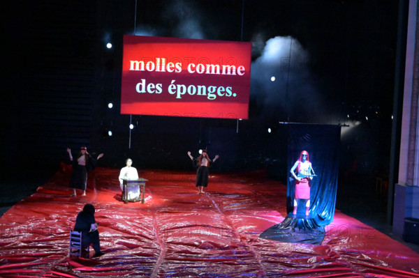 Festival d'Avignon IN 2026 : "Uma Luz Cordial"