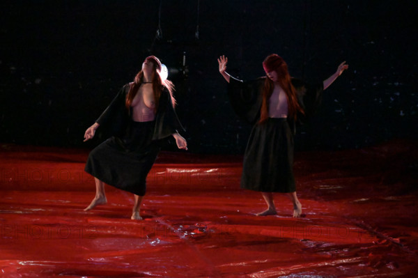 Festival d'Avignon IN 2026: "Uma Luz Cordial"