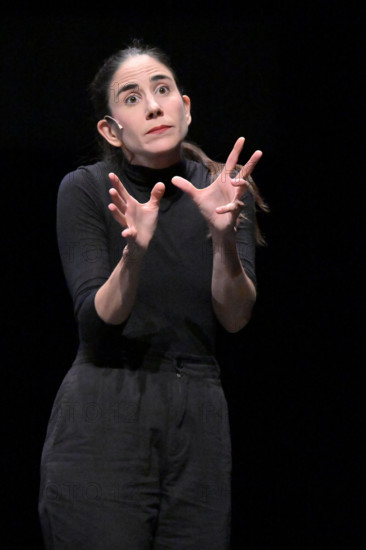 Festival d'Avignon IN 2026 : "Casting Lear"