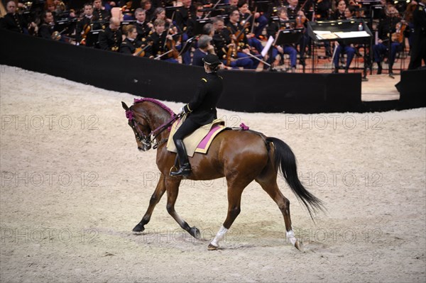 Cadre Noir de Saumur, représentation à Paris