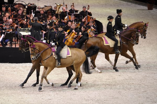 Cadre Noir de Saumur, représentation à Paris