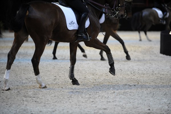 Cadre Noir de Saumur, représentation à Paris