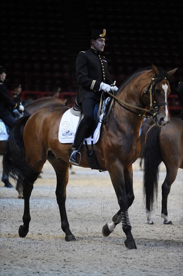 Cadre Noir de Saumur, représentation à Paris