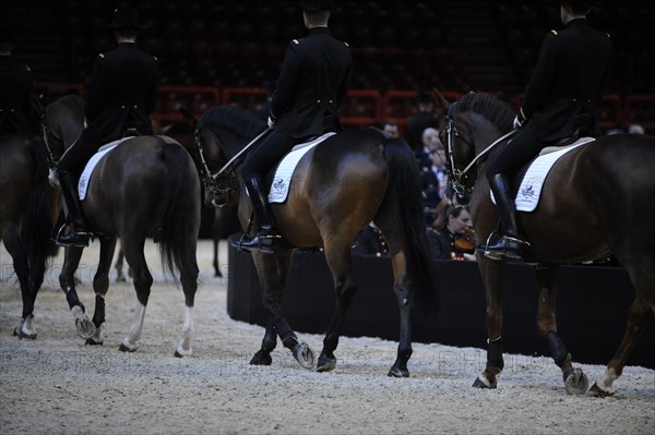 Cadre Noir de Saumur, représentation à Paris