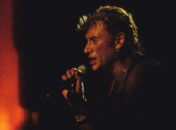 Johnny Hallyday en concert