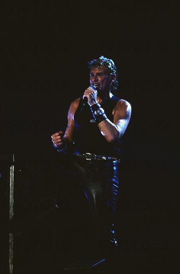 Johnny Hallyday en concert