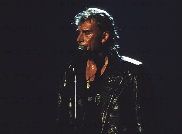 Johnny Hallyday en concert