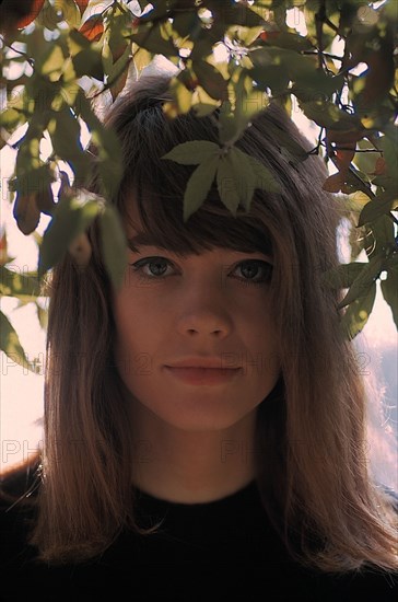 Françoise Hardy, 1963