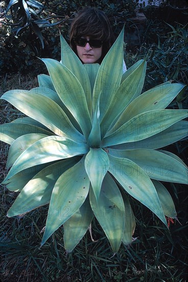 Michel Polnareff, 1971