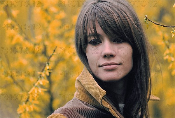 Françoise Hardy, 1966