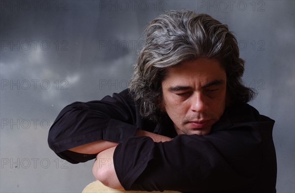 Benicio Del Toro